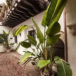 Patios De La Juderia *