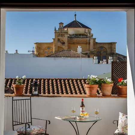 Patios De La Juderia *