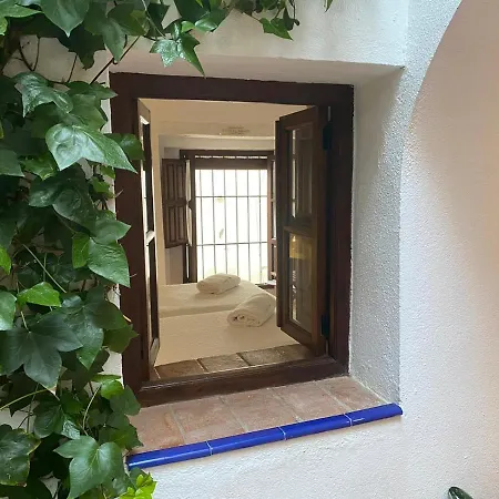Patios De La Juderia *