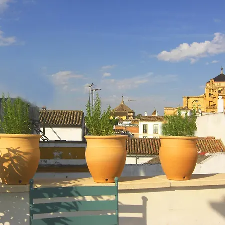 Patios De La Juderia Cordoba