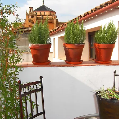 Apartment Patios De La Juderia *