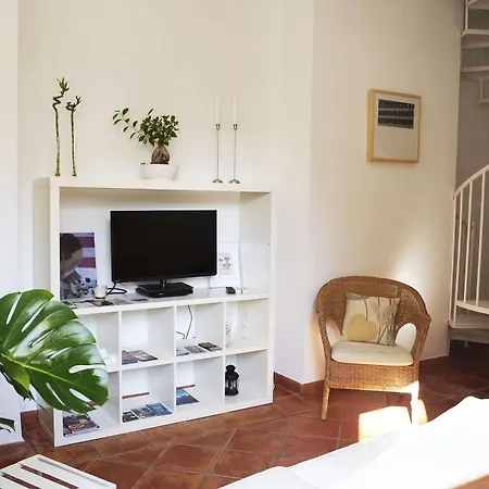 Patios De La Juderia Cordoba