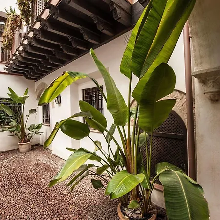 Patios De La Juderia *