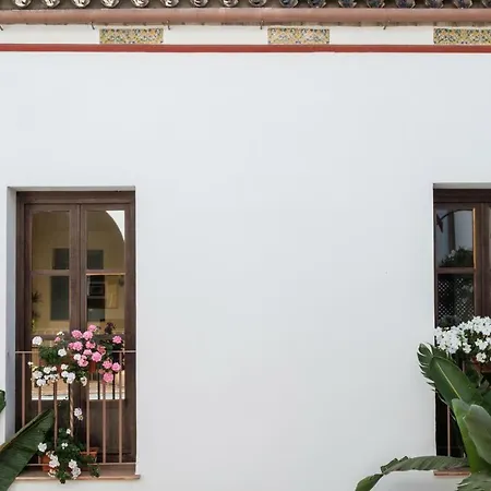 Patios De La Juderia Cordoba