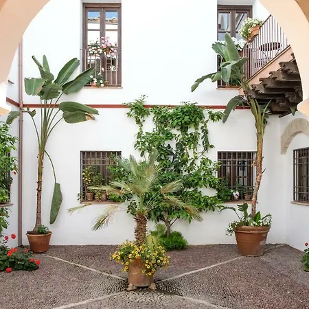 Patios De La Juderia Apartment *