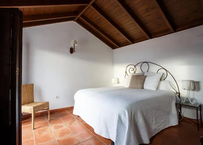 Patios De La Juderia *