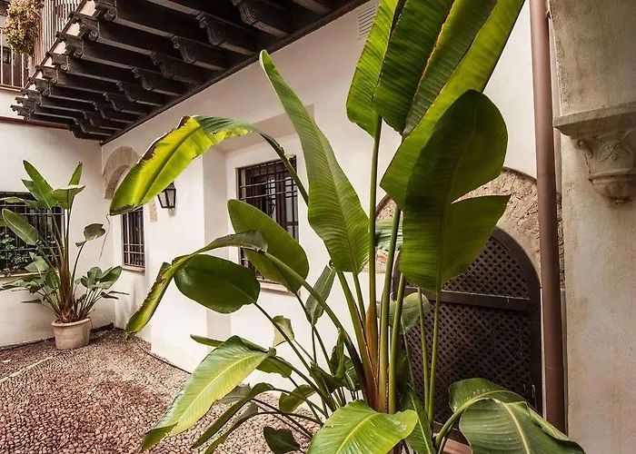 Patios De La Juderia *